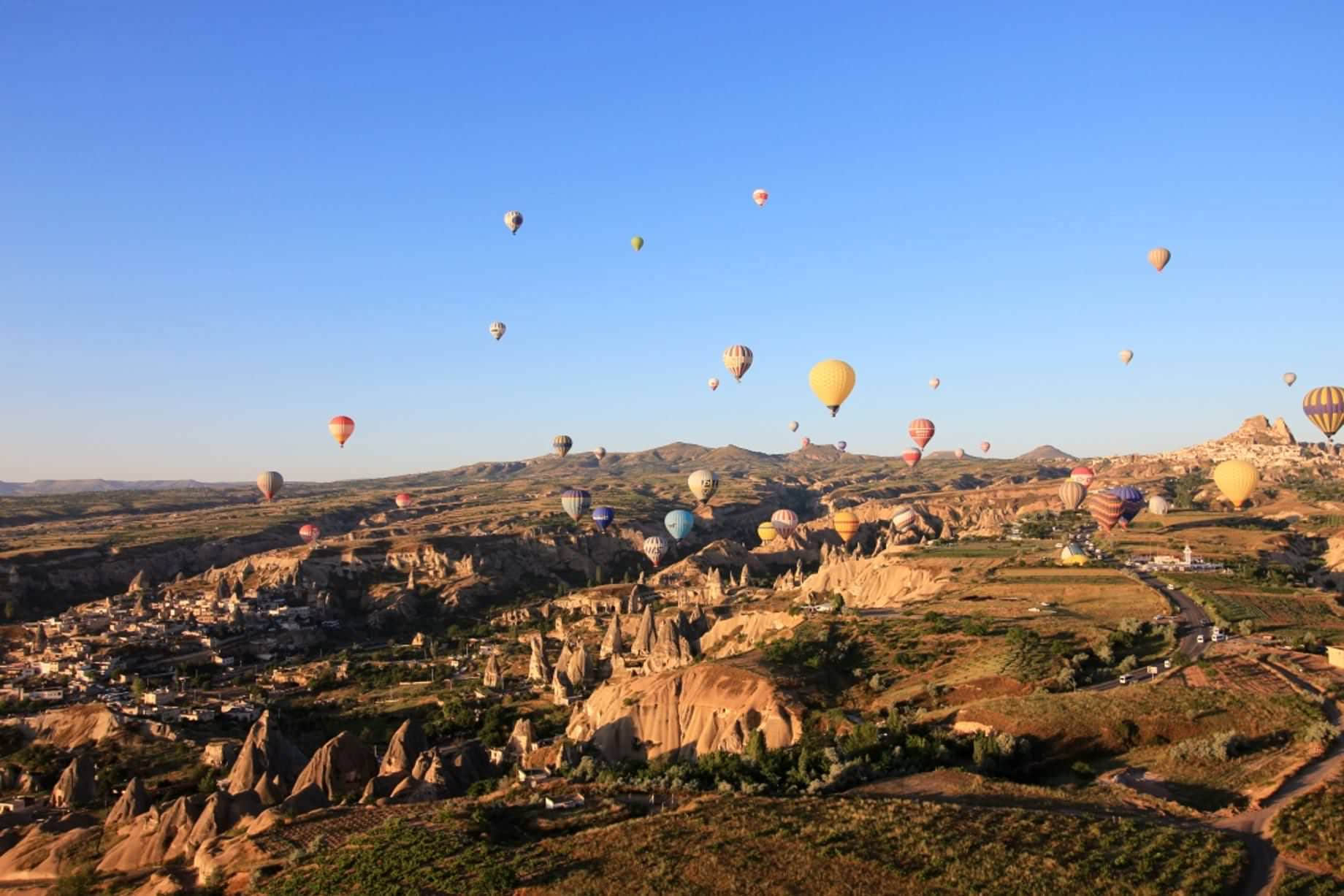 /image/blog/1fvmm.jpeg /image/blog/1fvmm.jpeg