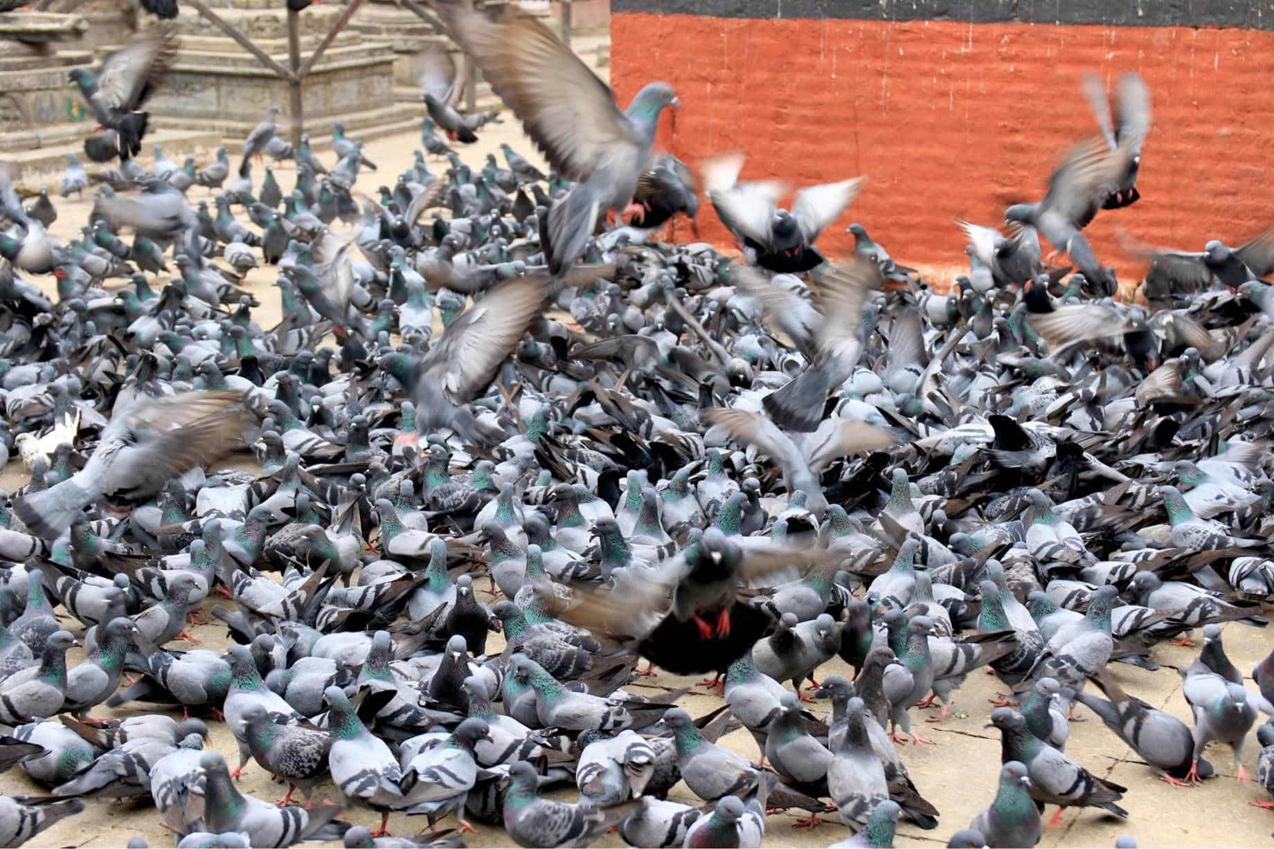 /image/blog/1zfkf.jpeg /image/blog/1zfkf.jpeg