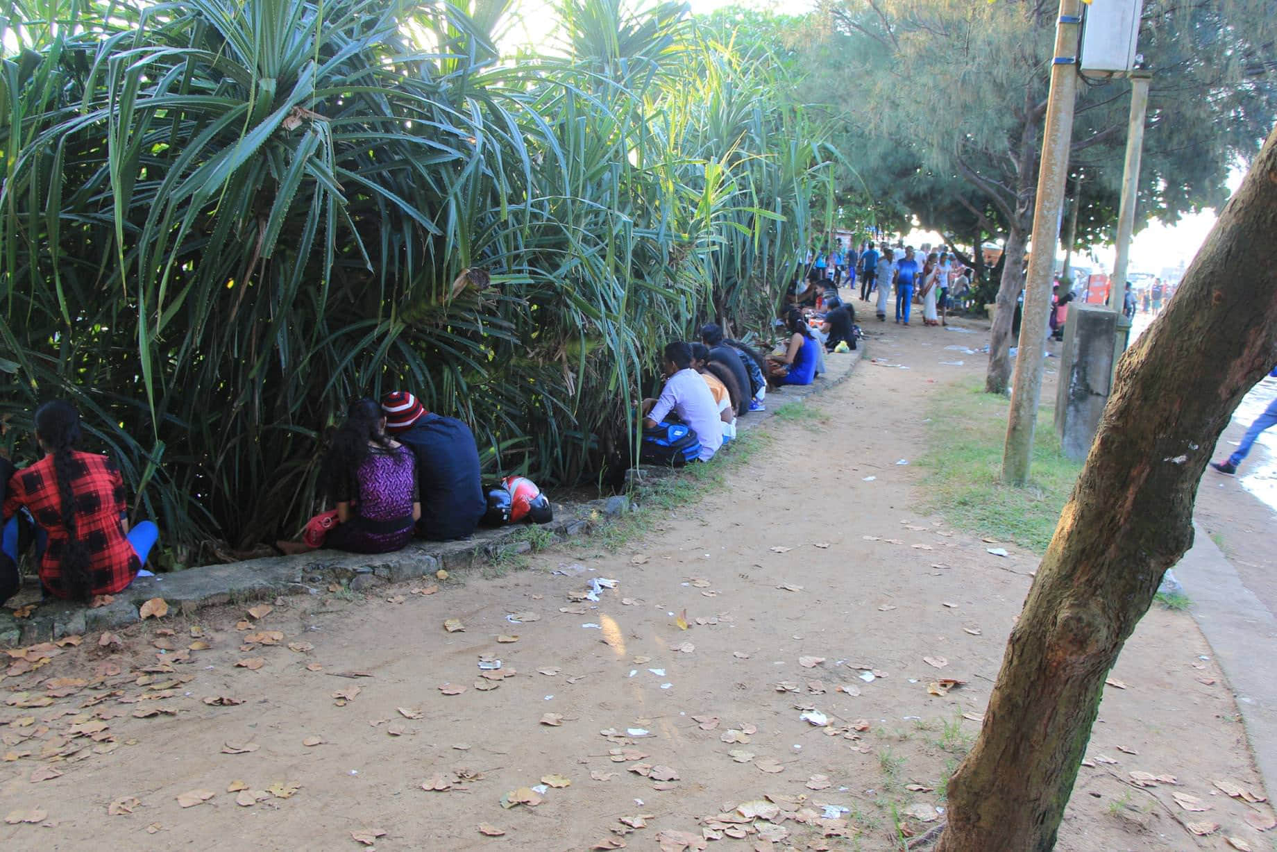 /image/blog/5qxui.jpeg /image/blog/5qxui.jpeg