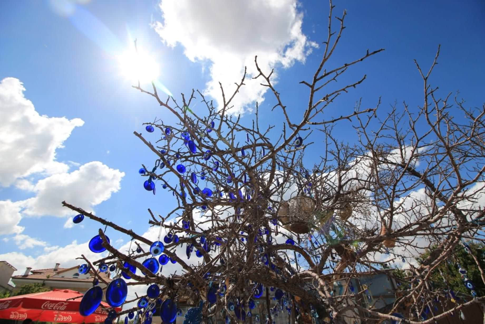 /image/blog/6ipzc.jpeg /image/blog/6ipzc.jpeg