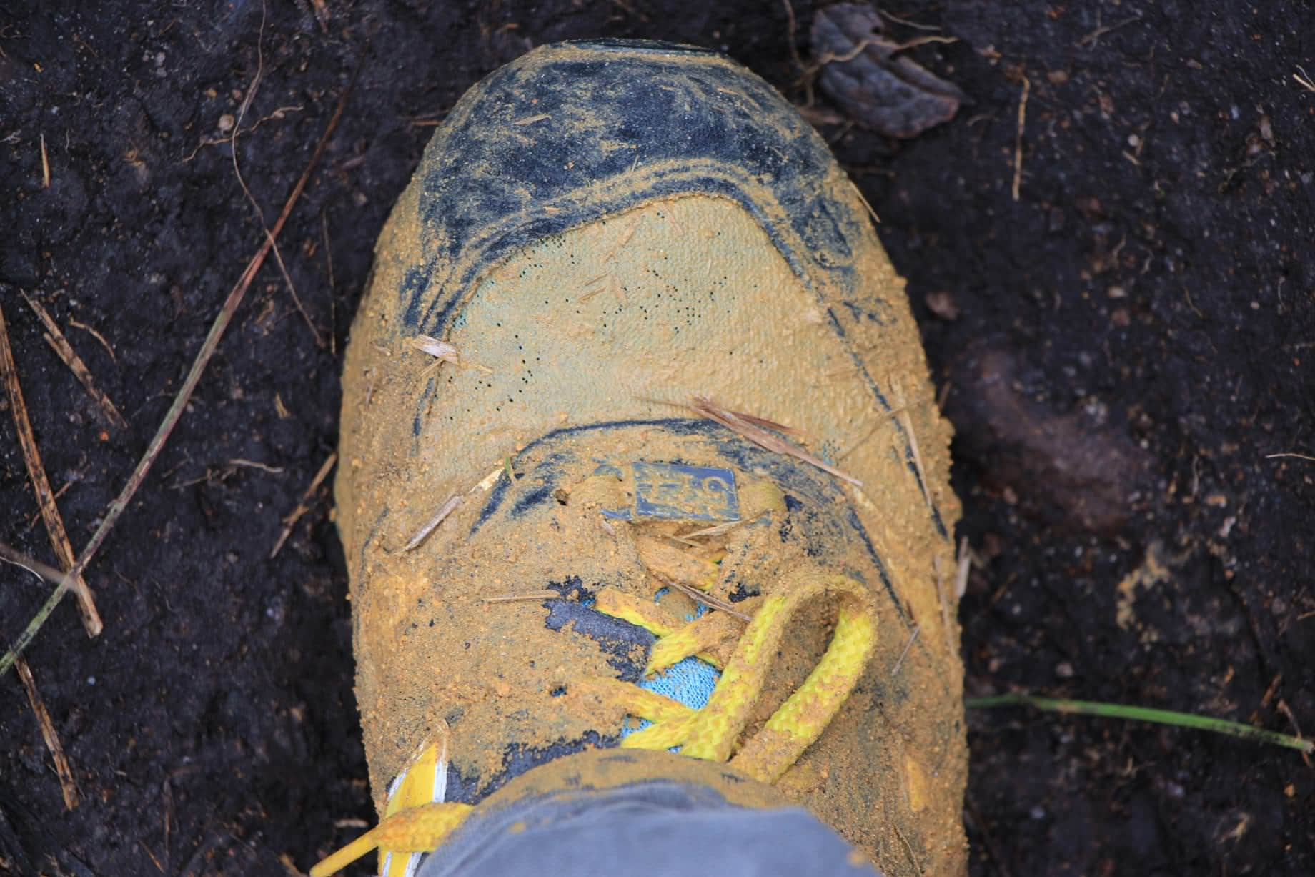 /image/blog/7umpu.jpeg /image/blog/7umpu.jpeg