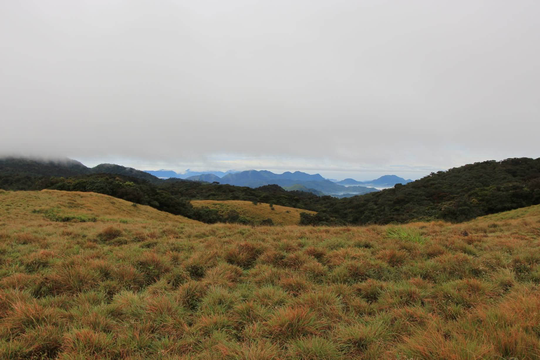 /image/blog/9zbbz.jpeg /image/blog/9zbbz.jpeg