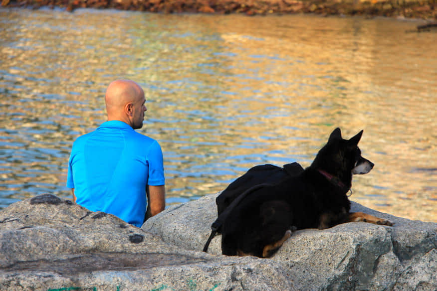 在岸邊坐著的人兒和狗兒 /image/blog/aqlqx.jpg