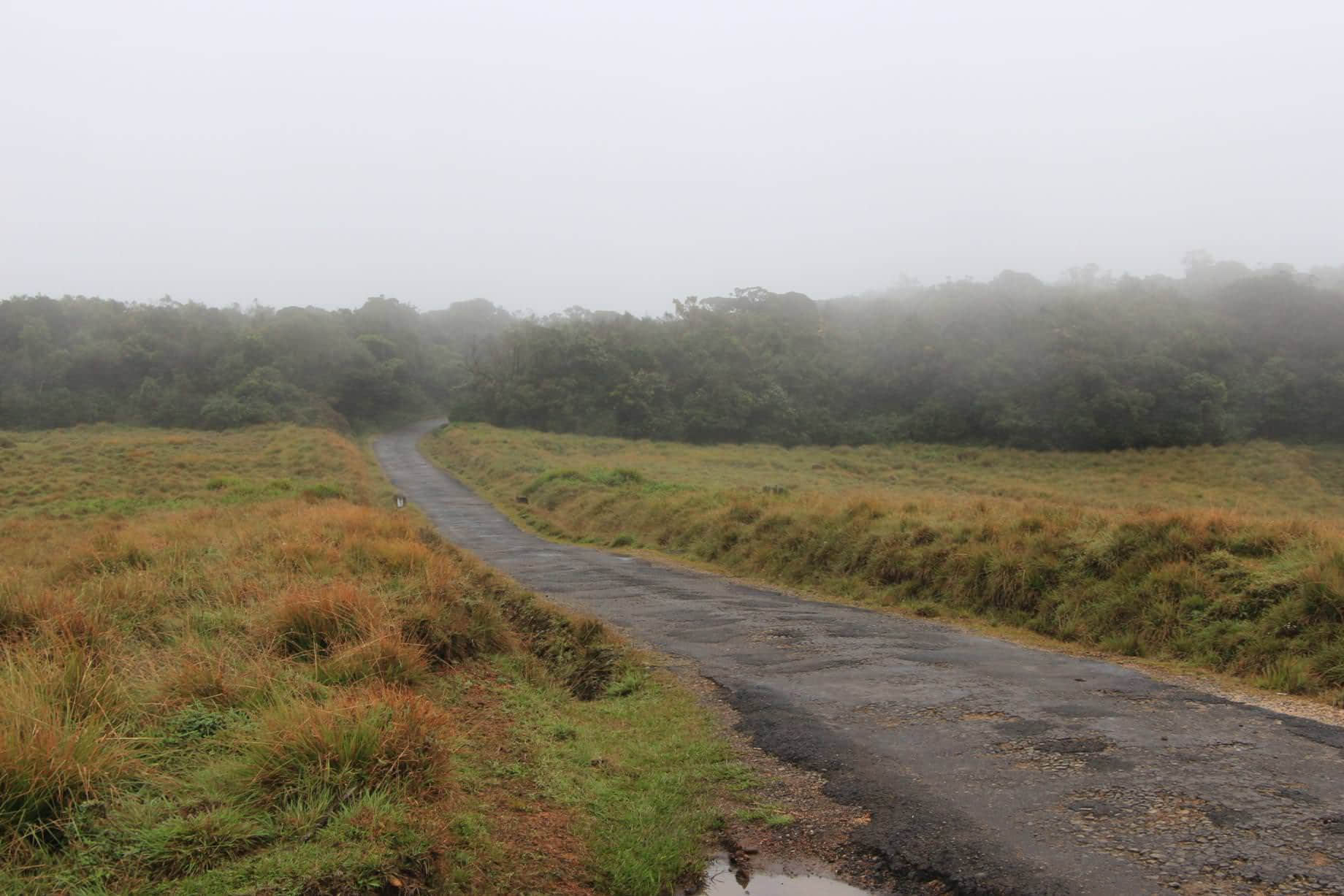 /image/blog/bczeo.jpeg /image/blog/bczeo.jpeg