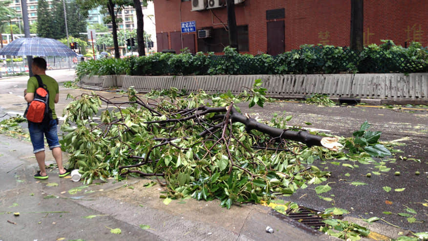 颶風過後一片狼藉 /image/blog/bsjpw.jpg