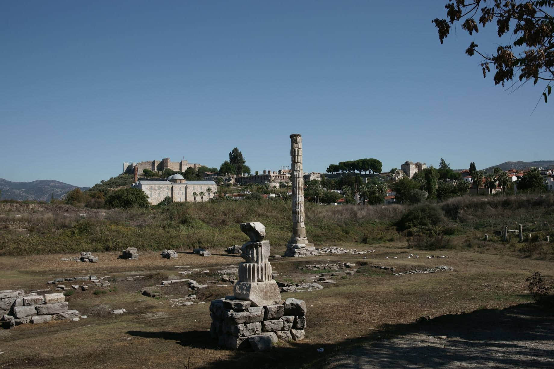 /image/blog/bwzko.jpeg /image/blog/bwzko.jpeg