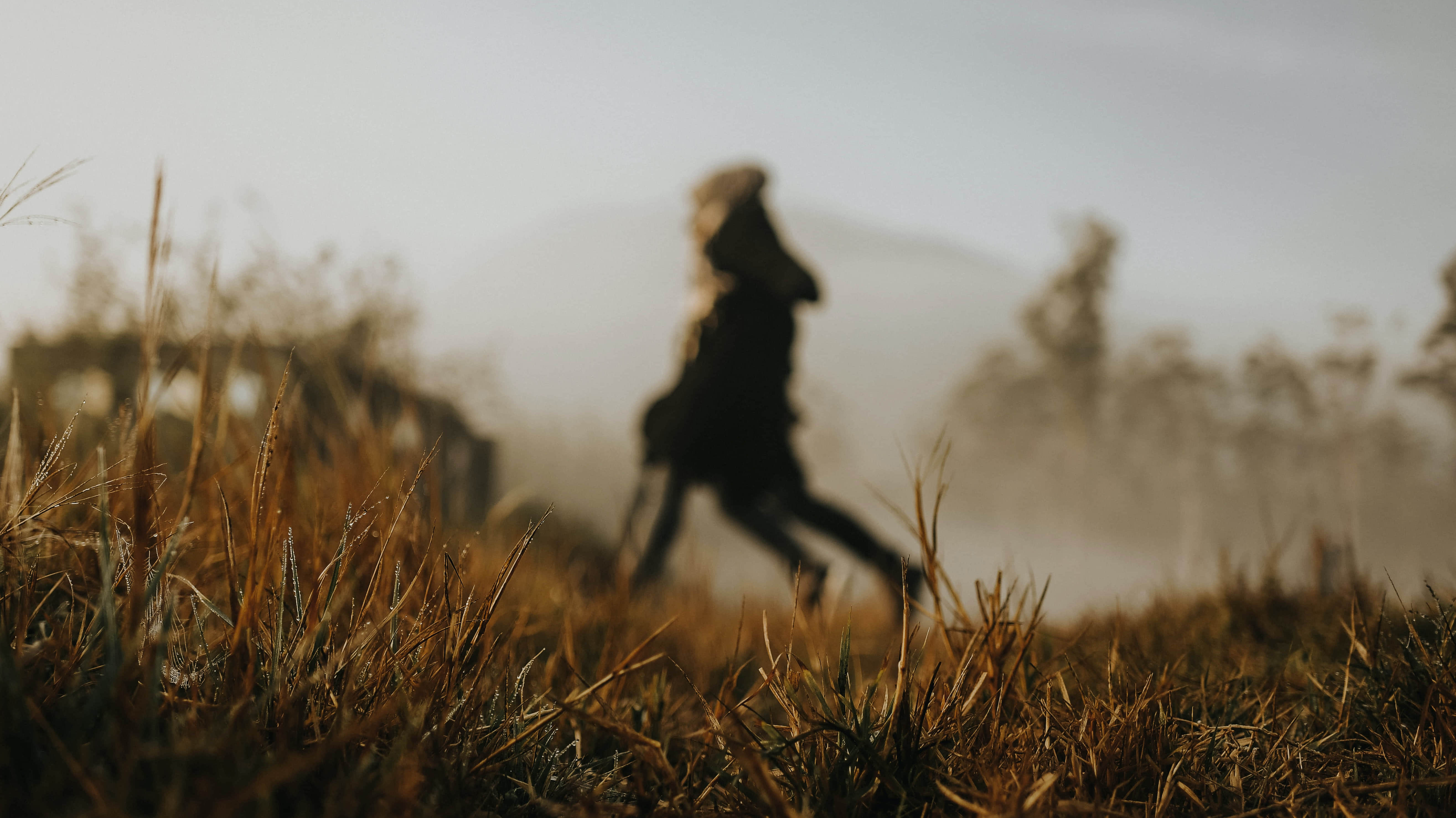 /image/blog/cofuc.jpg /image/blog/cofuc.jpg