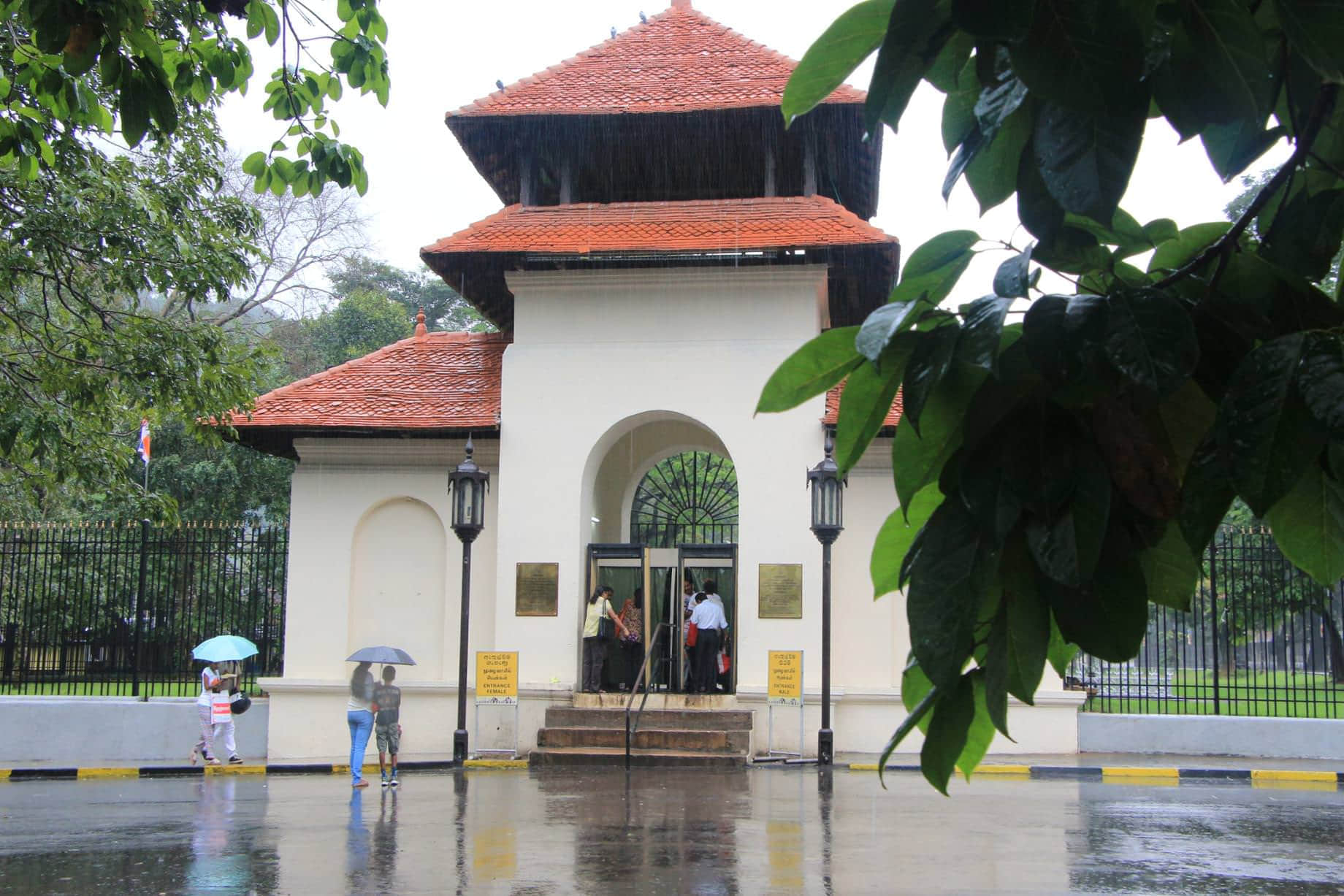 /image/blog/covgq.jpg /image/blog/covgq.jpg