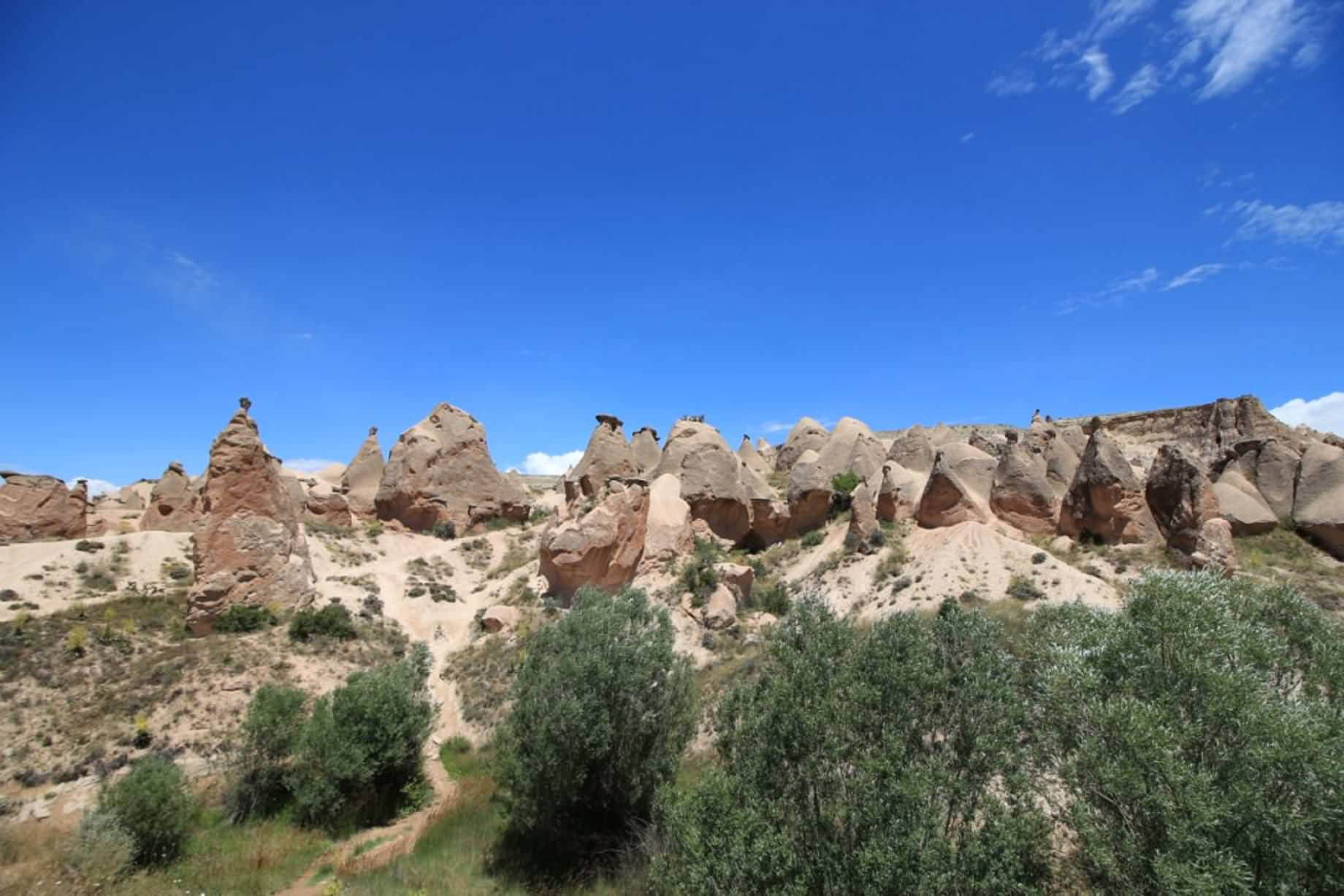 /image/blog/dfd0u.jpeg /image/blog/dfd0u.jpeg