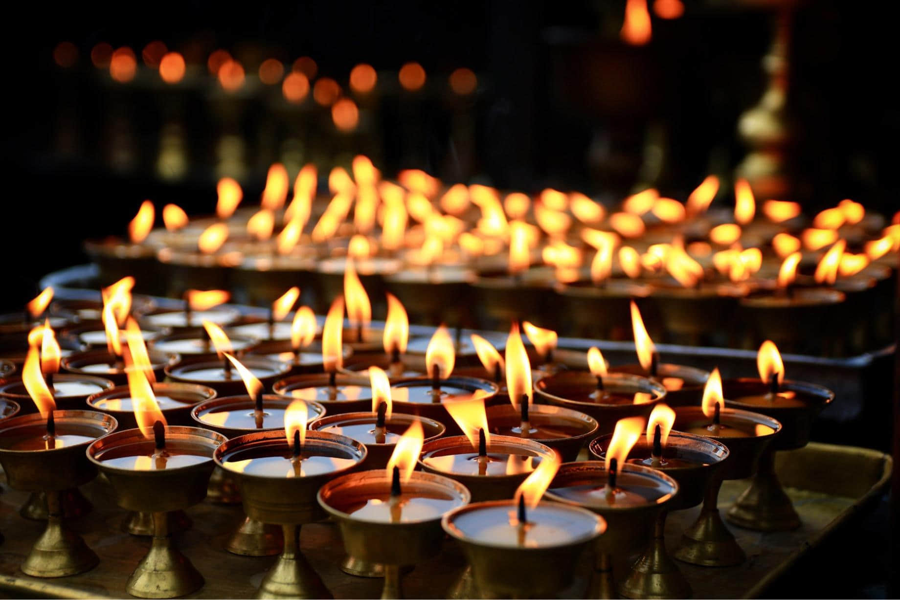 /image/blog/ekdwv.jpeg /image/blog/ekdwv.jpeg