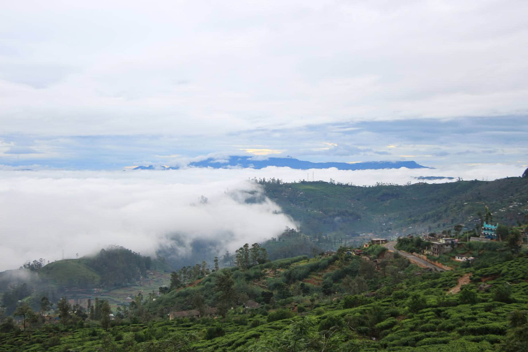 /image/blog/elzvu.jpg /image/blog/elzvu.jpg