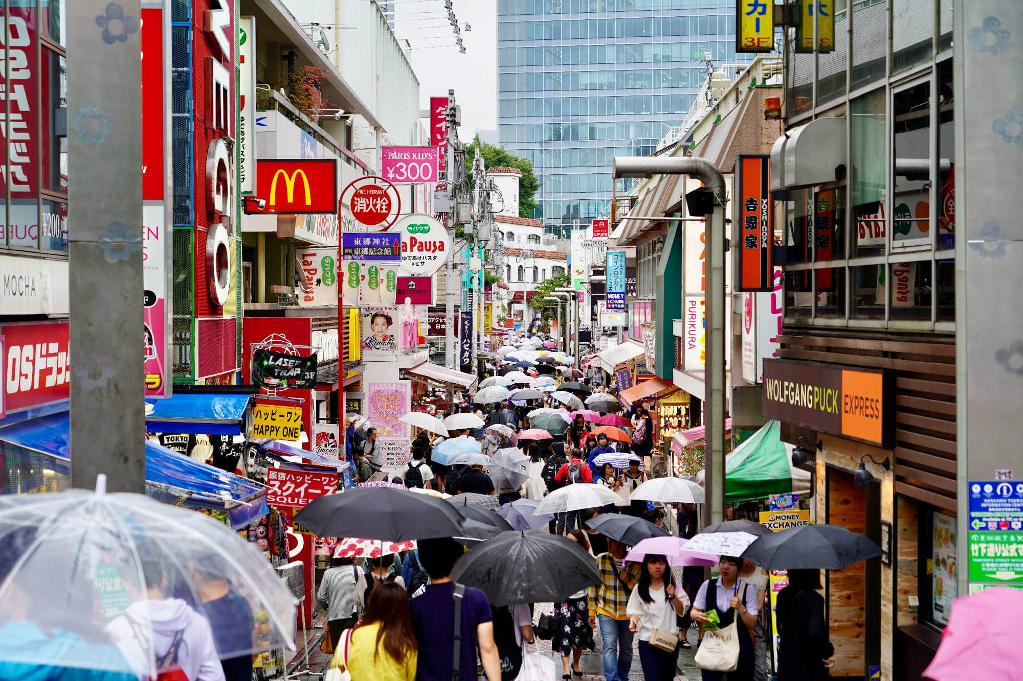 /image/blog/ettnm.jpg /image/blog/ettnm.jpg