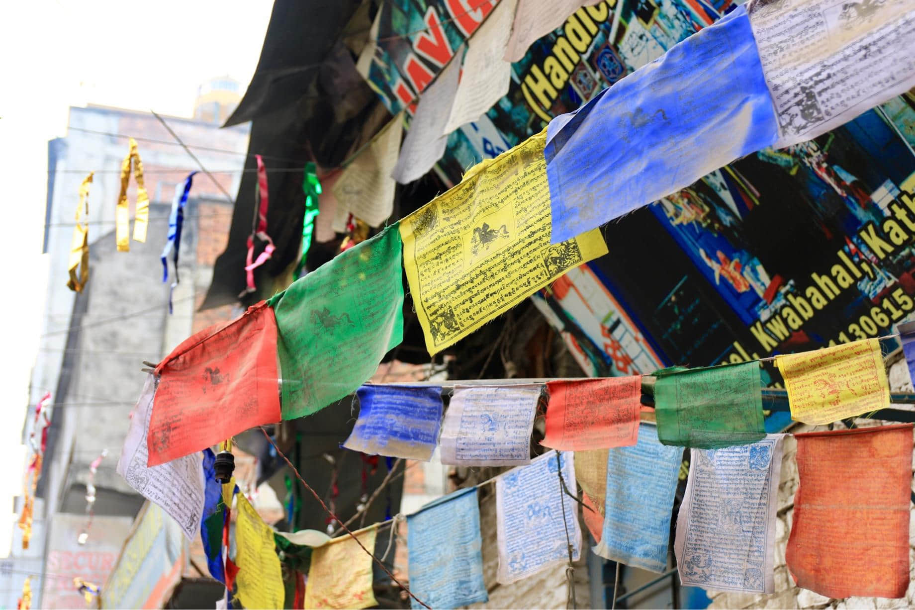 /image/blog/flzbt.jpeg /image/blog/flzbt.jpeg