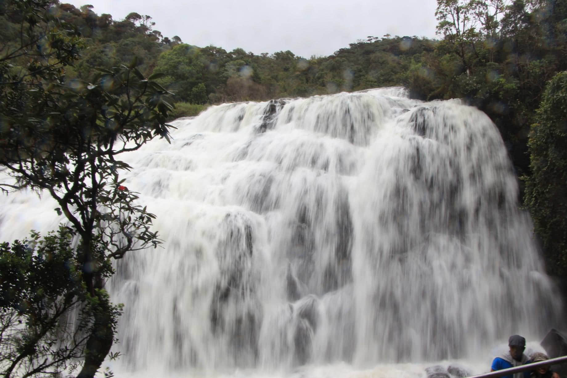 /image/blog/h5hdt.jpeg /image/blog/h5hdt.jpeg