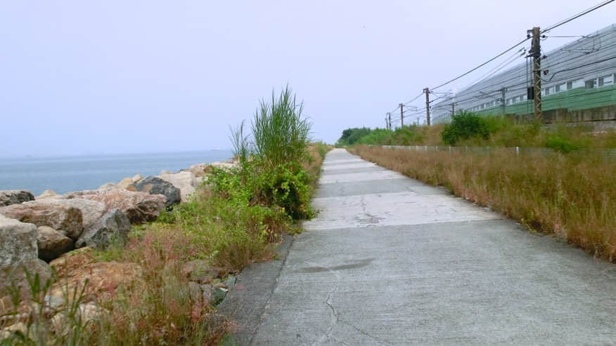 這就是在地鐵上看到的那條路了 /image/blog/hl5j1.jpg