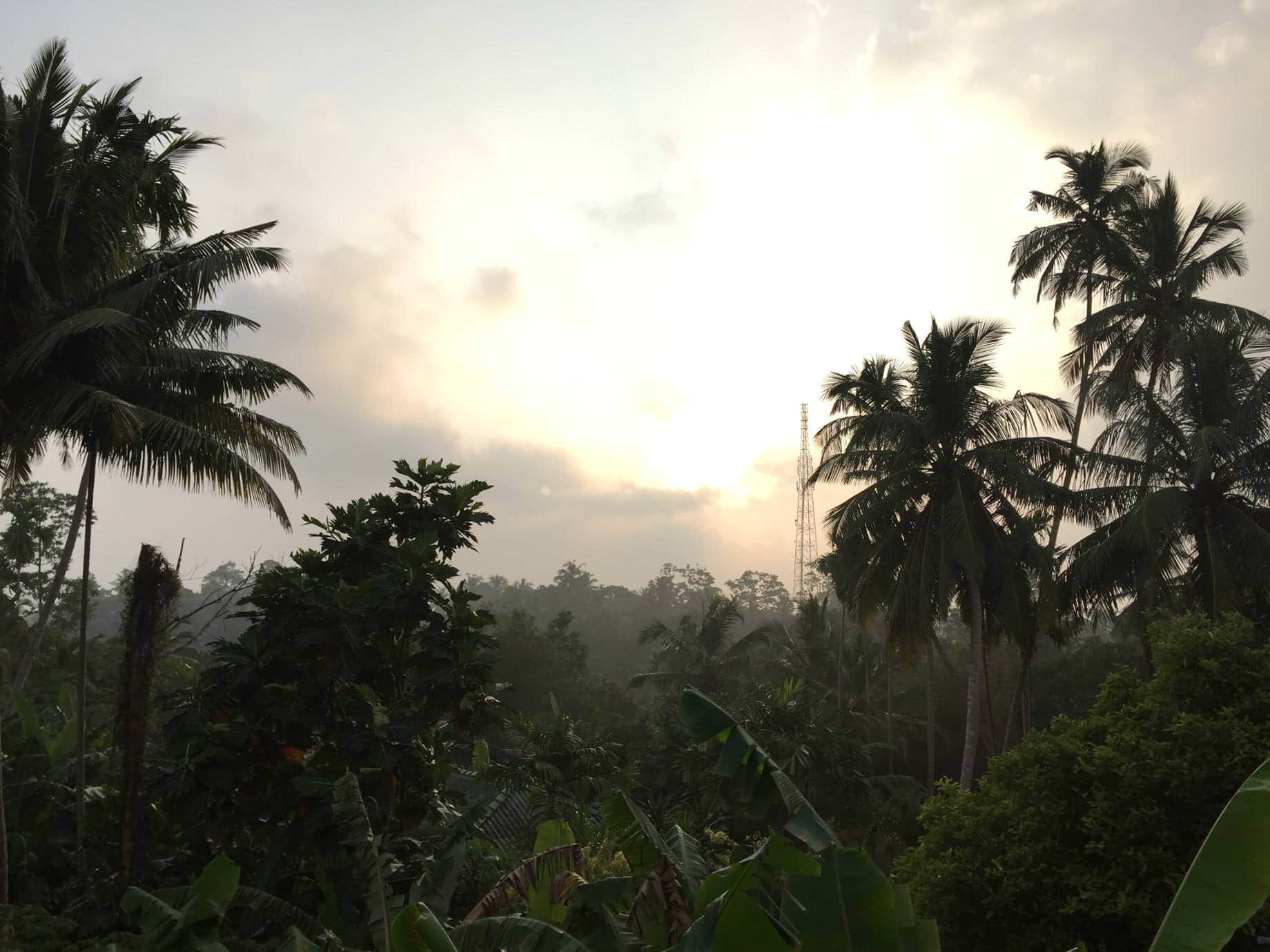 /image/blog/hmtu1.jpeg /image/blog/hmtu1.jpeg