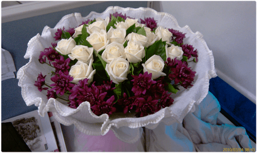 /image/blog/hoblo.png /image/blog/hoblo.png