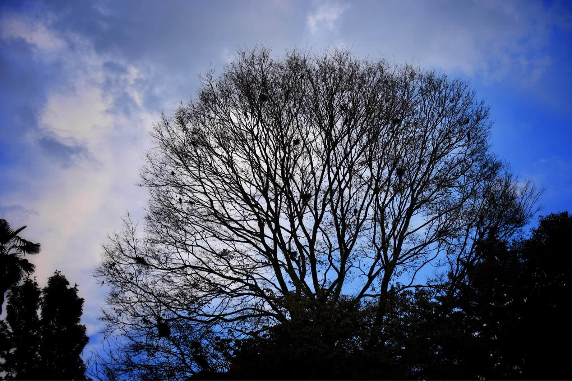 /image/blog/hrisi.jpeg /image/blog/hrisi.jpeg