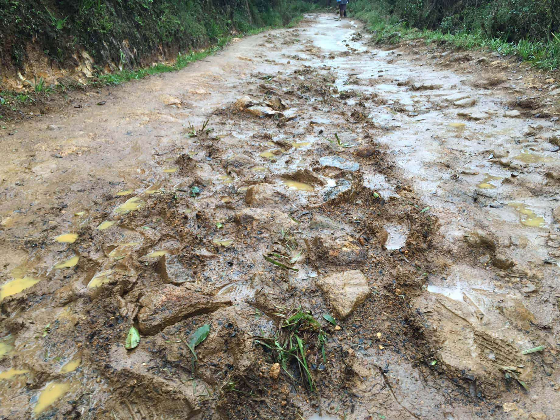 /image/blog/in5jd.jpeg /image/blog/in5jd.jpeg