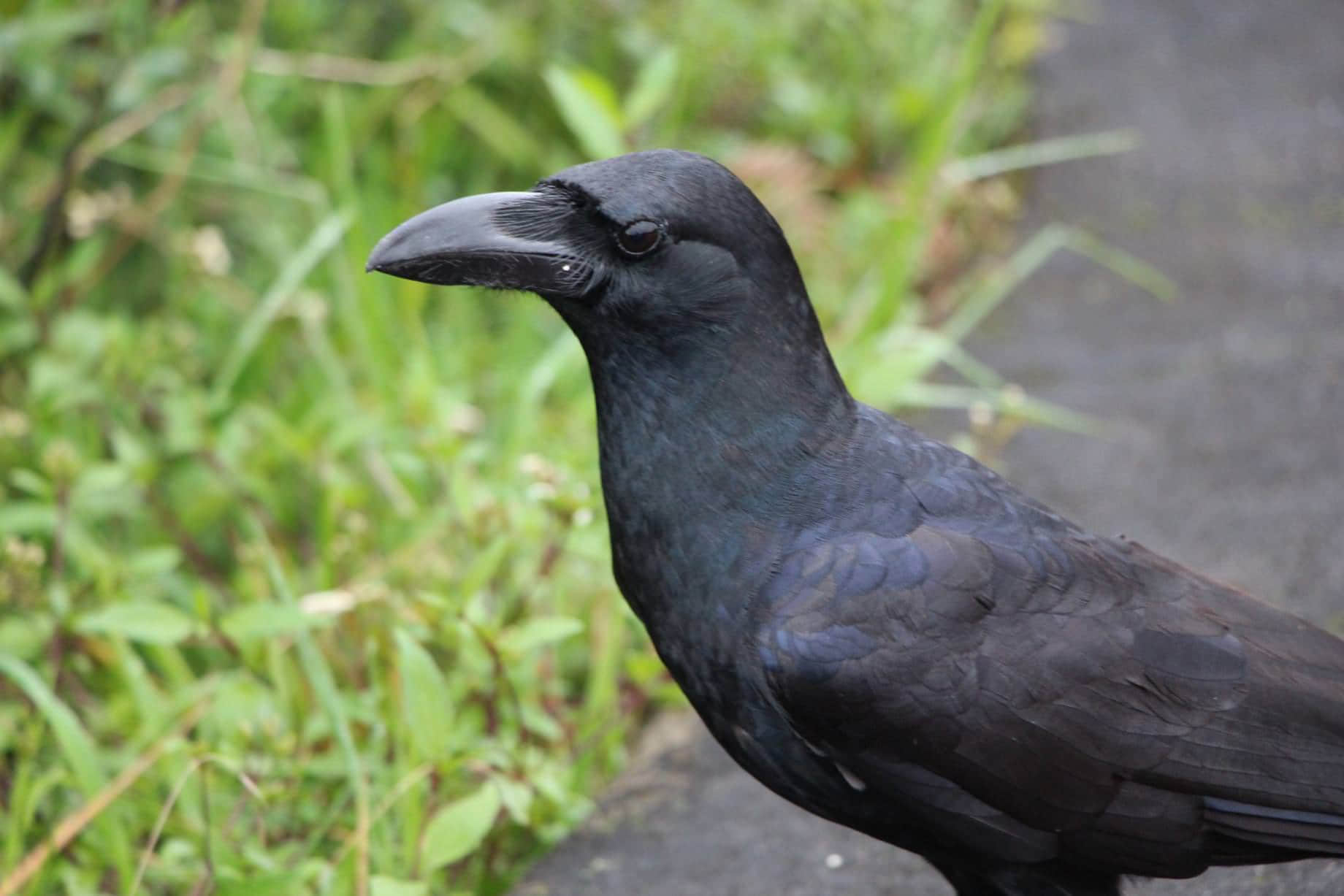 /image/blog/klphz.jpg /image/blog/klphz.jpg