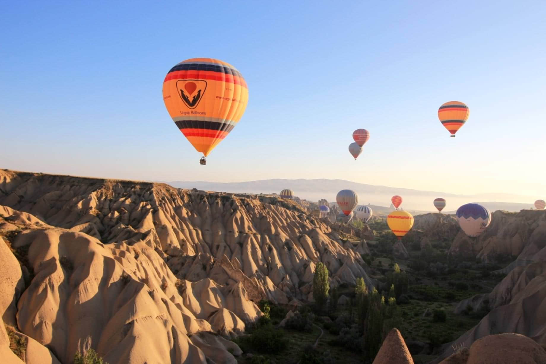 /image/blog/ljf1w.jpeg /image/blog/ljf1w.jpeg