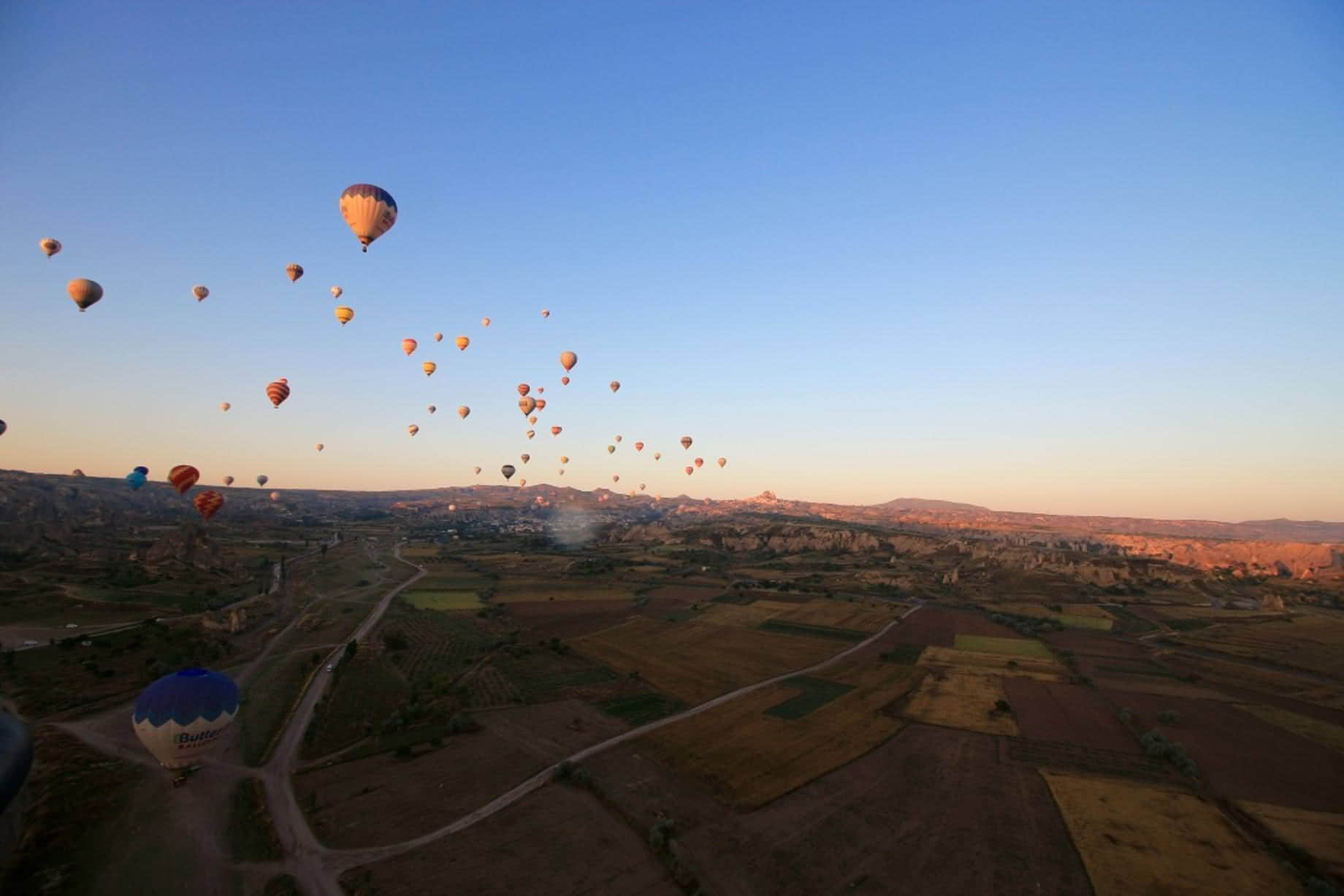 /image/blog/lz1bp.jpeg /image/blog/lz1bp.jpeg