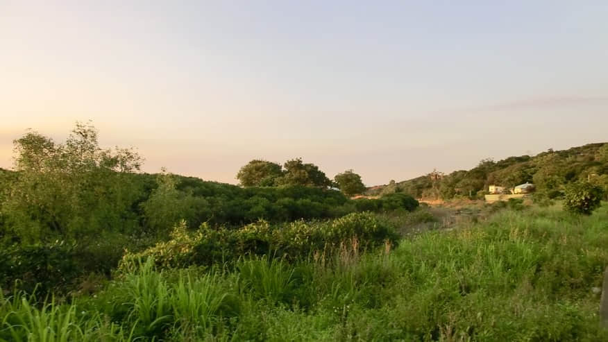 下白泥 /image/blog/madqz.jpg