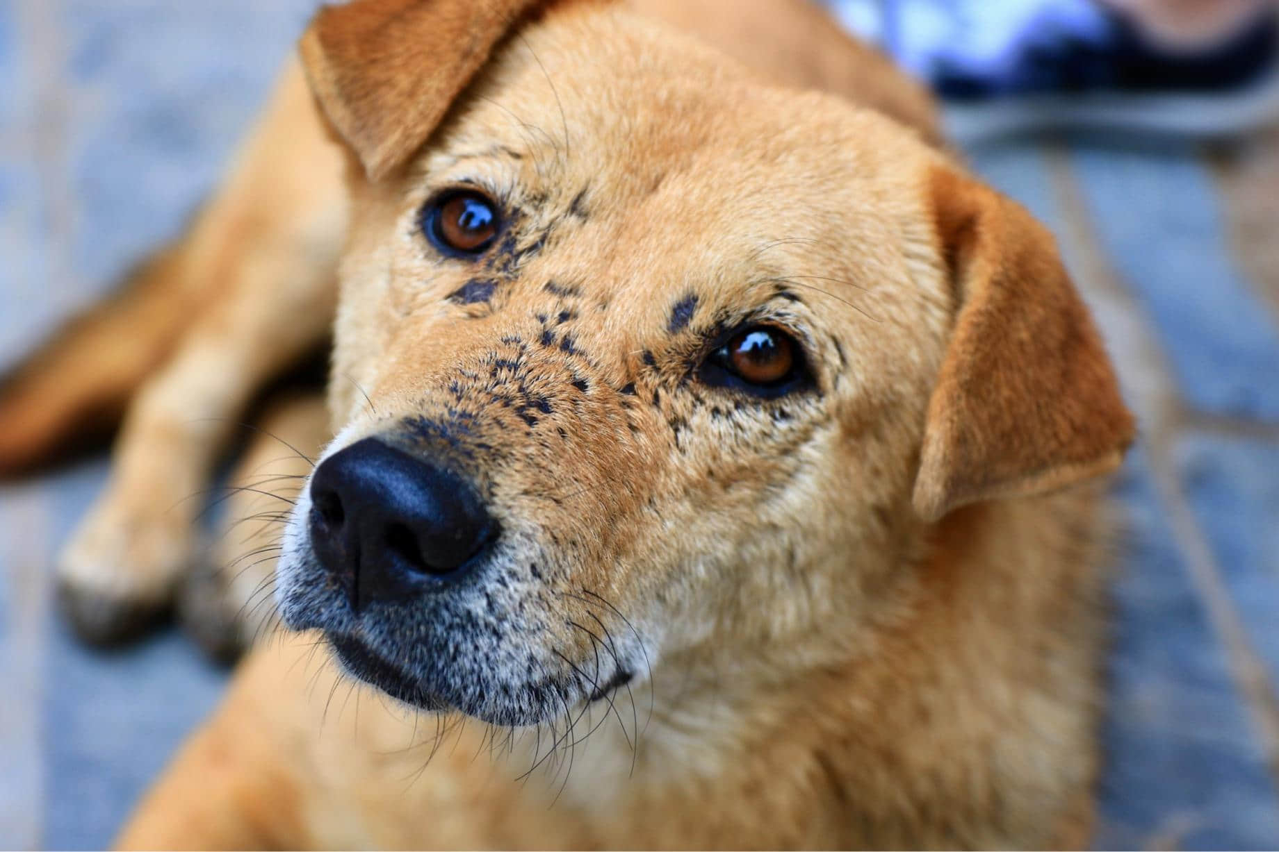 /image/blog/mhul2.jpeg /image/blog/mhul2.jpeg