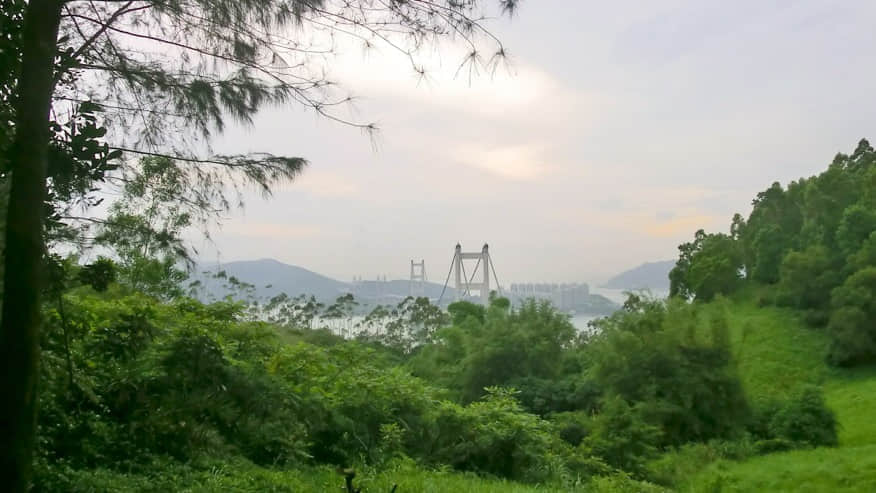 青衣自然徑 /image/blog/mwdri.jpg