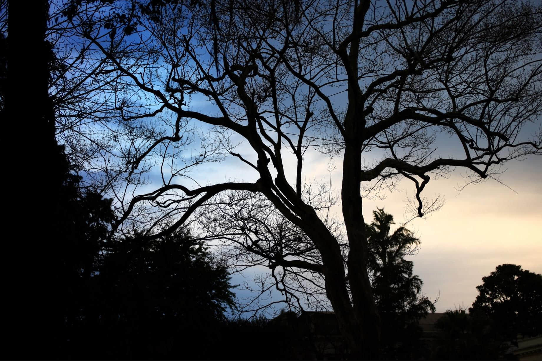 /image/blog/nct1y.jpeg /image/blog/nct1y.jpeg