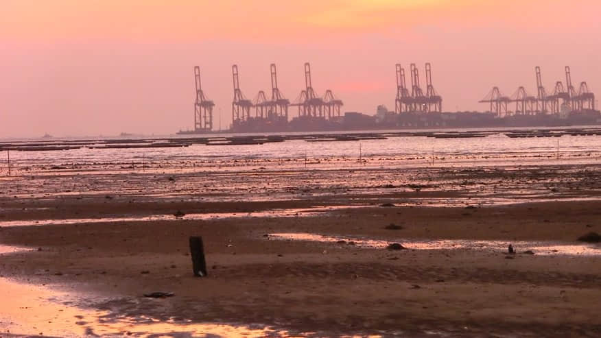 日落 /image/blog/nrbev.jpg