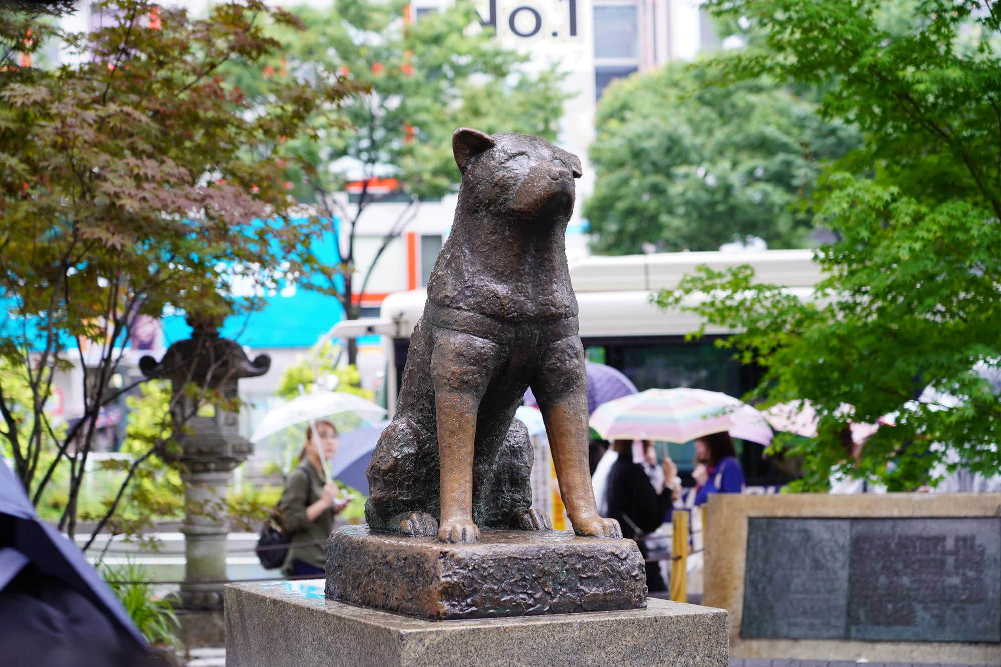 忠犬八公 /image/blog/ny0fb.jpg