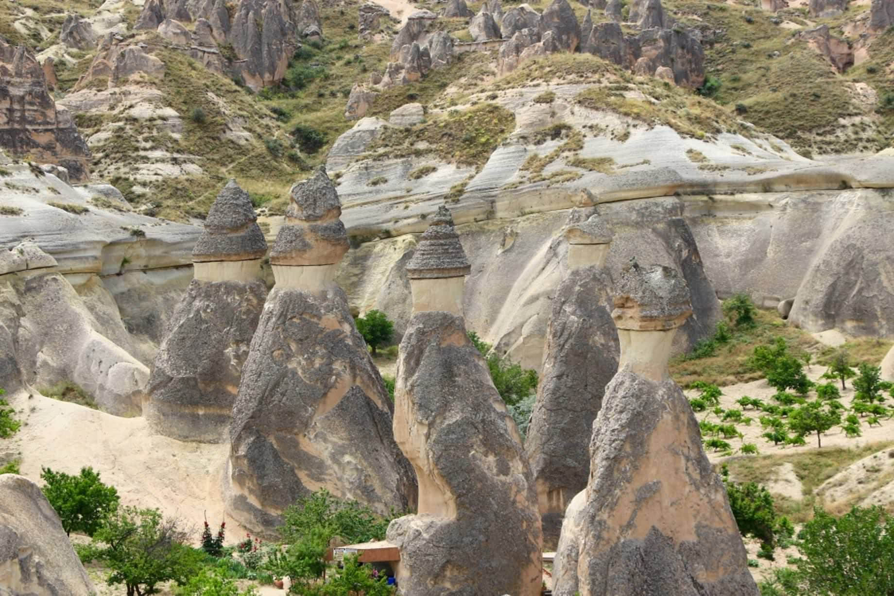 /image/blog/o182z.jpeg /image/blog/o182z.jpeg