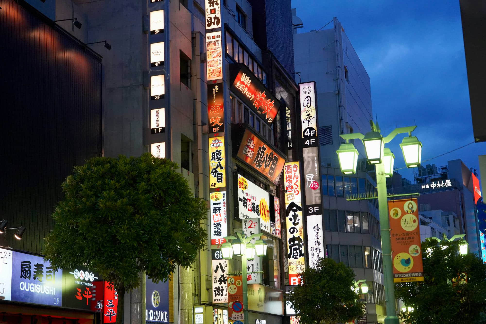 /image/blog/ode6b.jpg /image/blog/ode6b.jpg