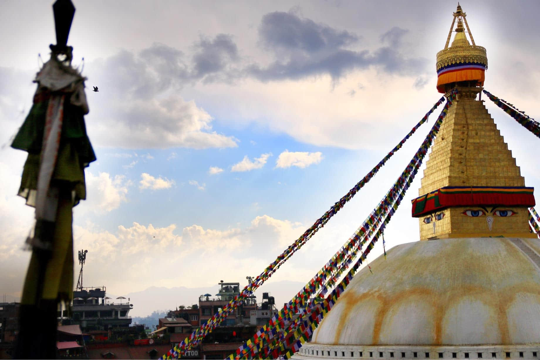 /image/blog/ogmjm.jpeg /image/blog/ogmjm.jpeg