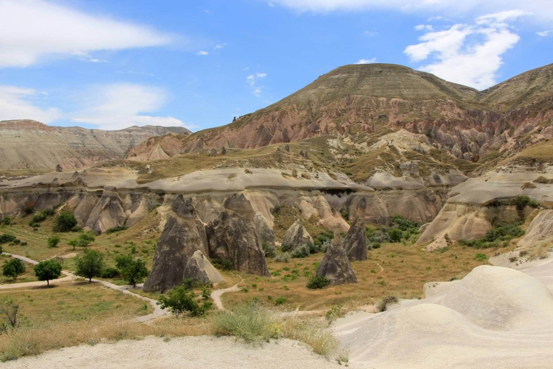 /image/blog/pmecj.jpeg /image/blog/pmecj.jpeg