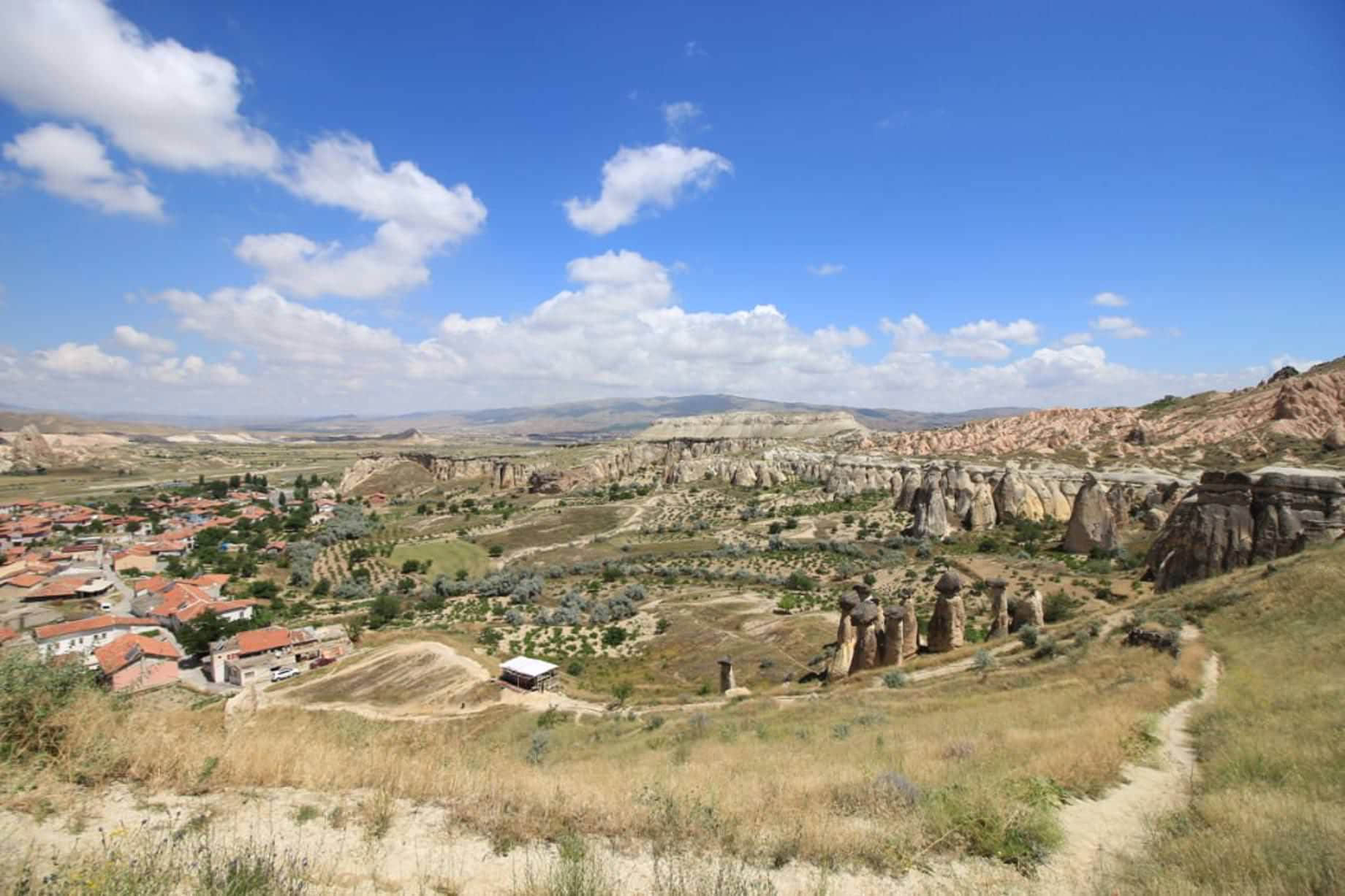 /image/blog/puqxo.jpeg /image/blog/puqxo.jpeg