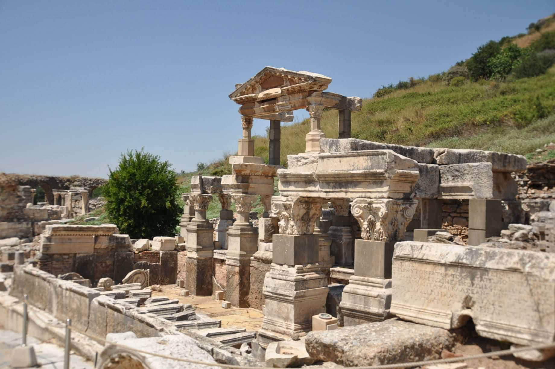 /image/blog/sfwsa.jpeg /image/blog/sfwsa.jpeg