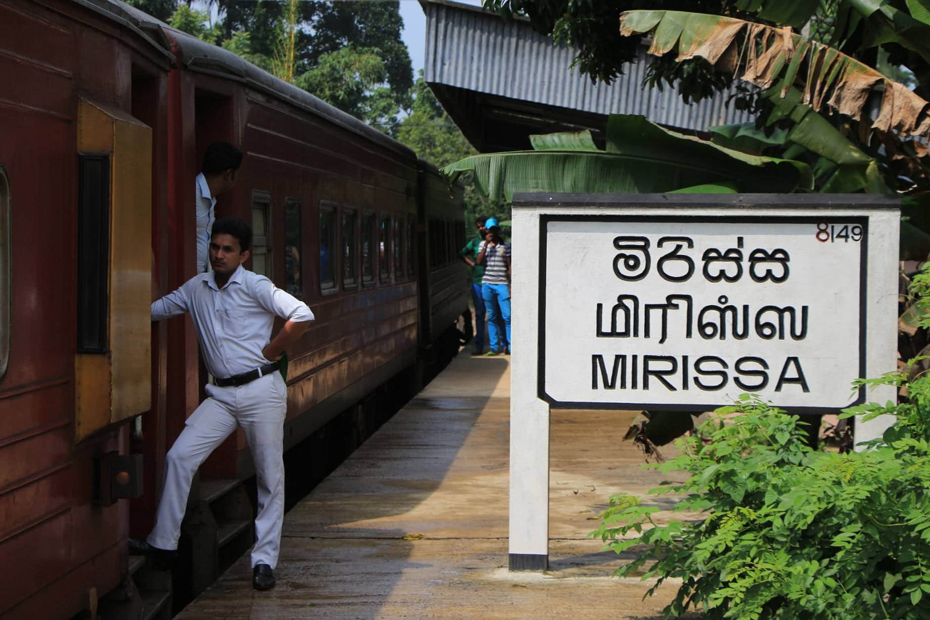 /image/blog/sk9te.jpeg /image/blog/sk9te.jpeg