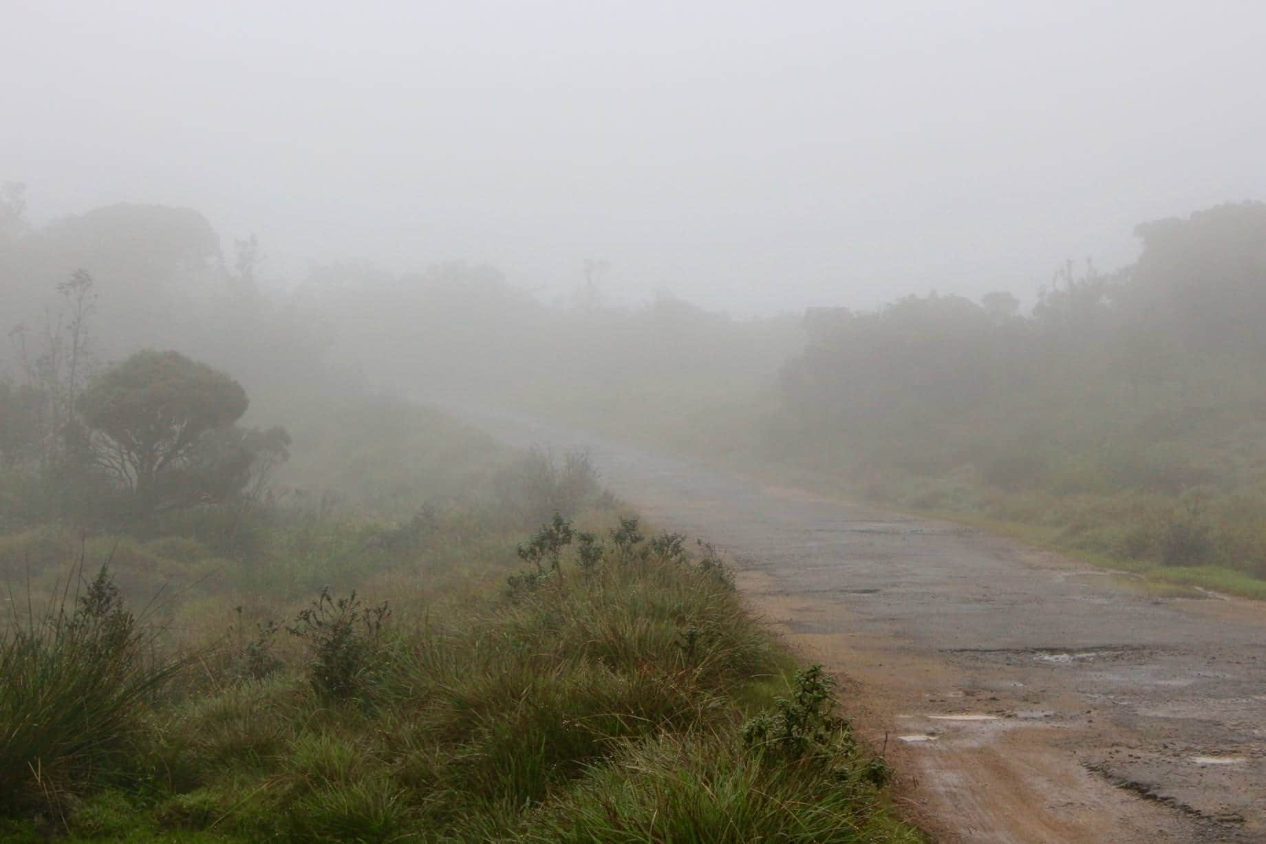 /image/blog/tedh7.jpg /image/blog/tedh7.jpg