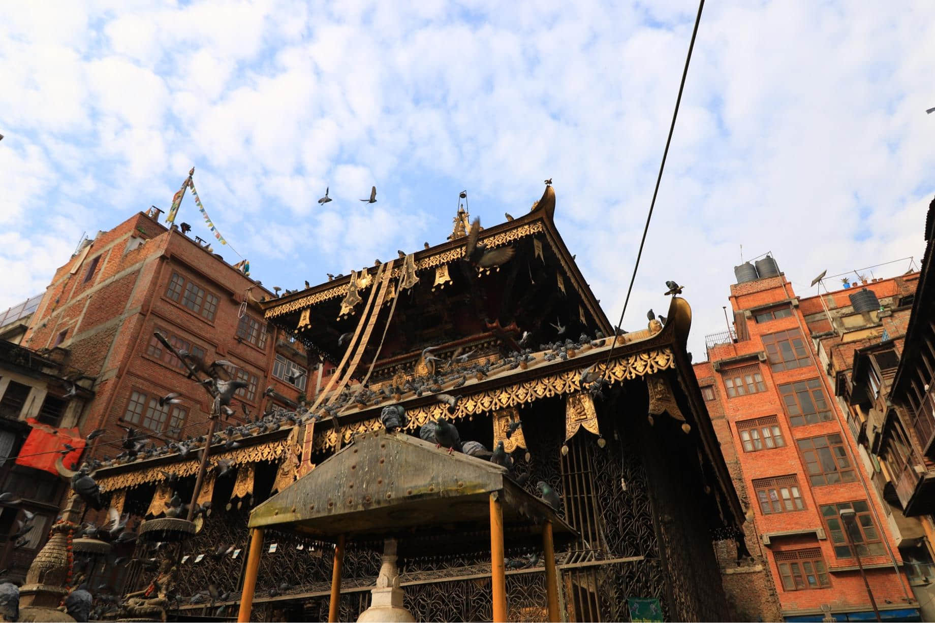 /image/blog/udjfy.jpeg /image/blog/udjfy.jpeg