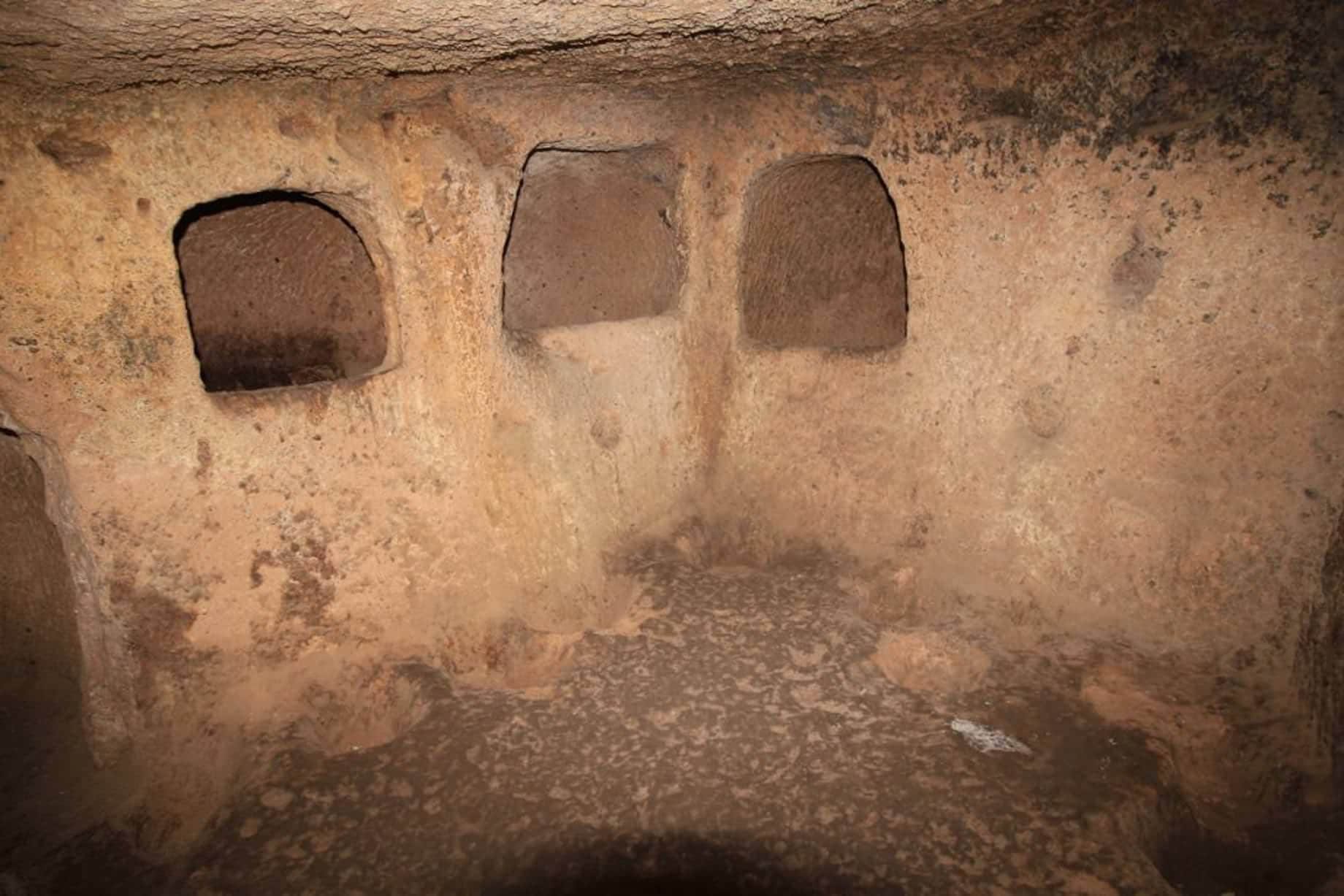 /image/blog/v4niy.jpeg /image/blog/v4niy.jpeg