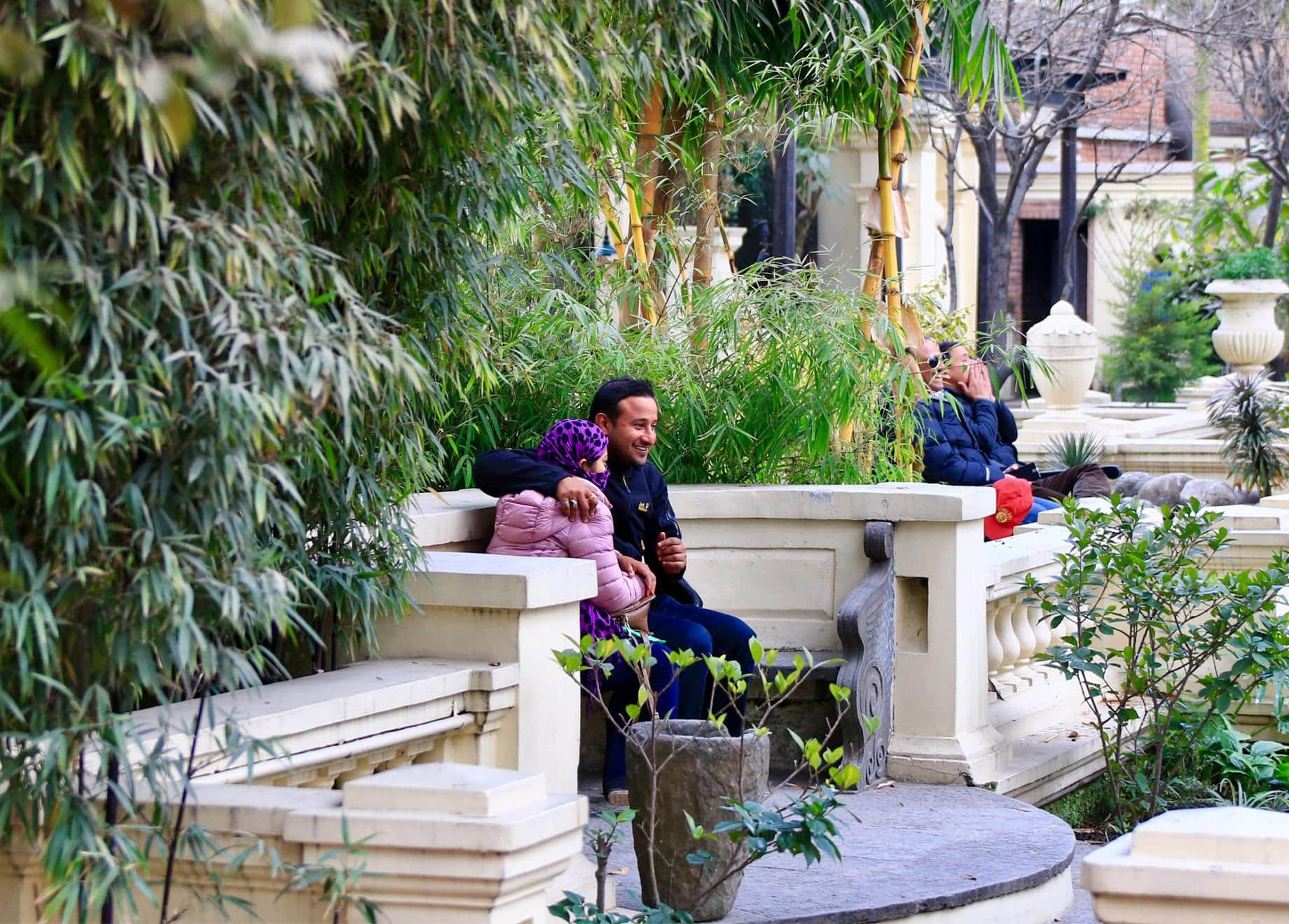 /image/blog/vw9rs.jpeg /image/blog/vw9rs.jpeg