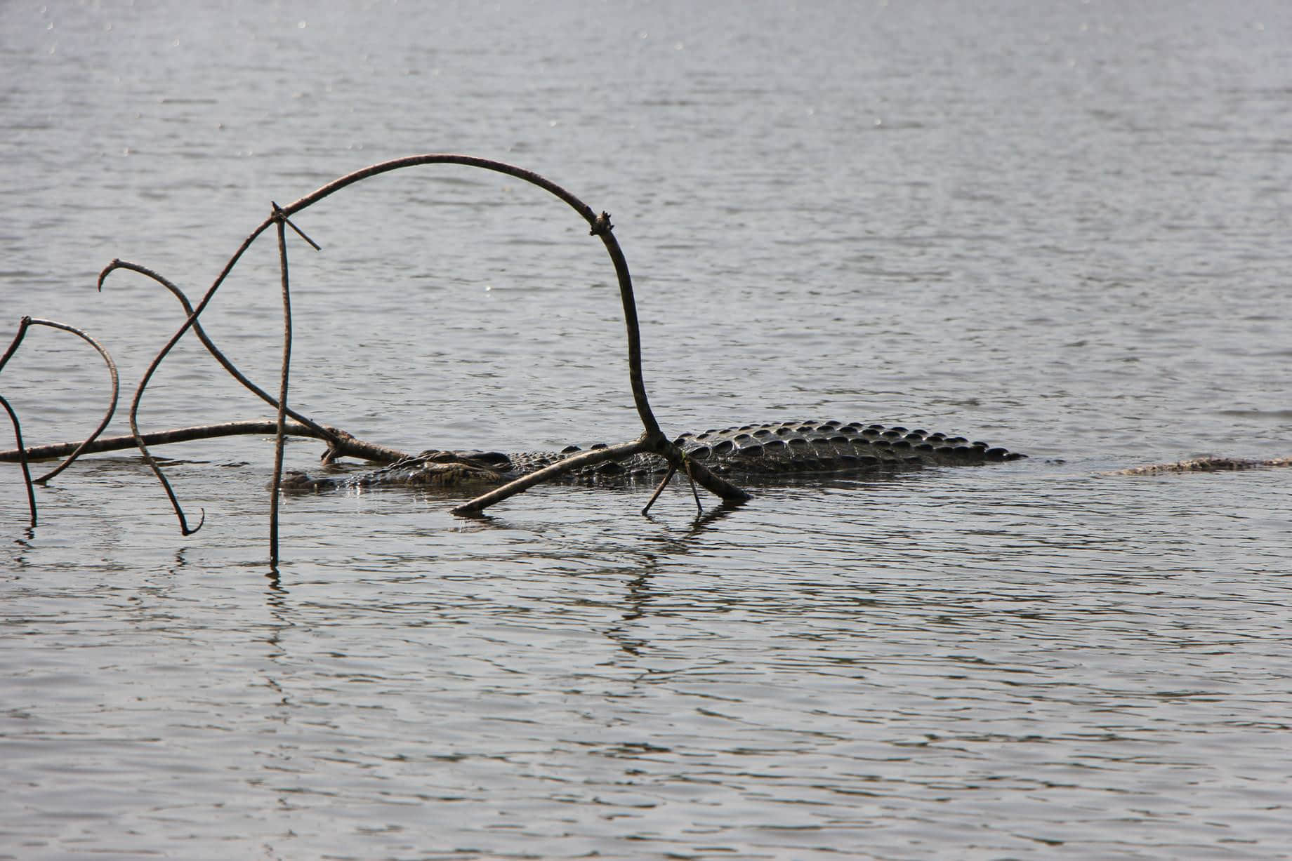 /image/blog/xdzry.jpeg /image/blog/xdzry.jpeg