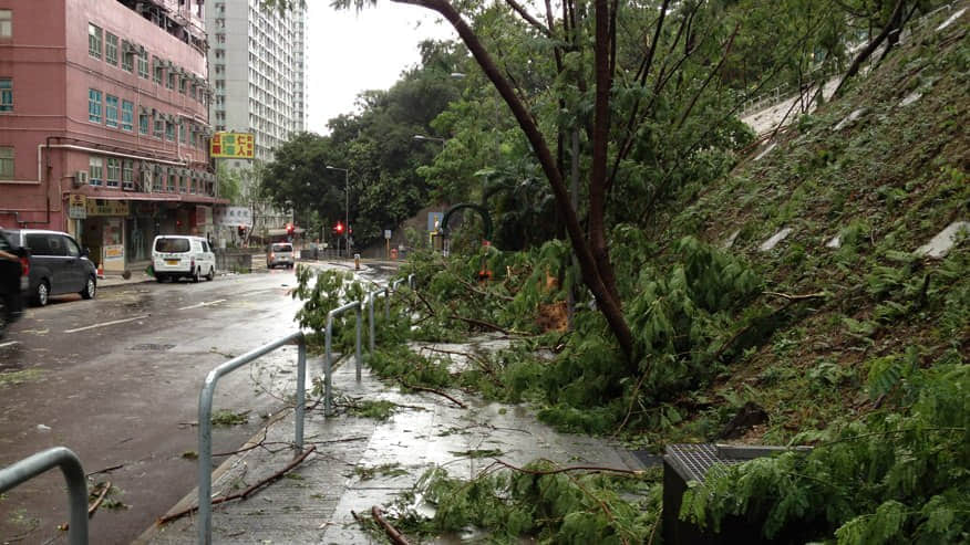 颶風過後一片狼藉 /image/blog/ydnrq.jpg