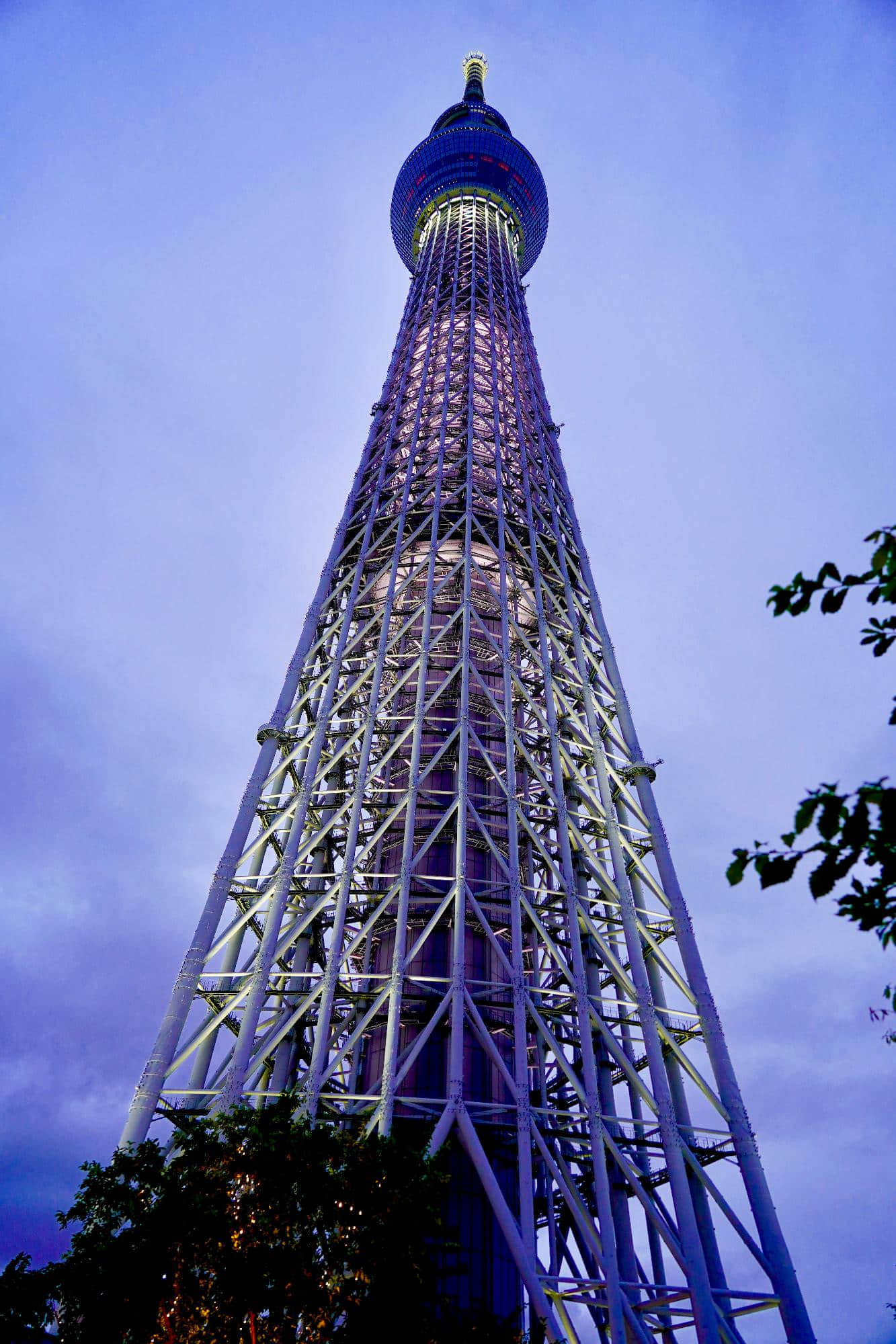 /image/blog/z3tdf.jpg /image/blog/z3tdf.jpg