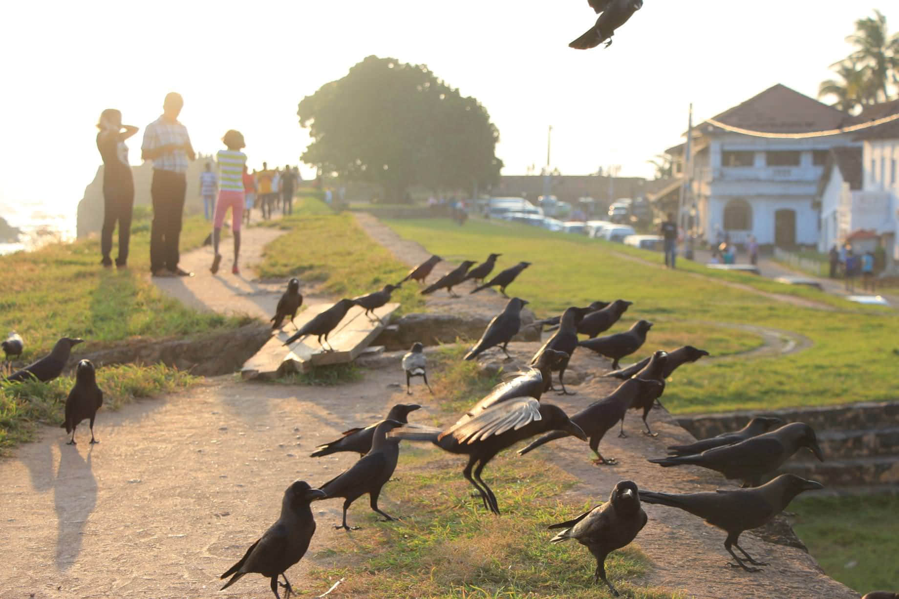 /image/blog/z8kn1.jpeg /image/blog/z8kn1.jpeg