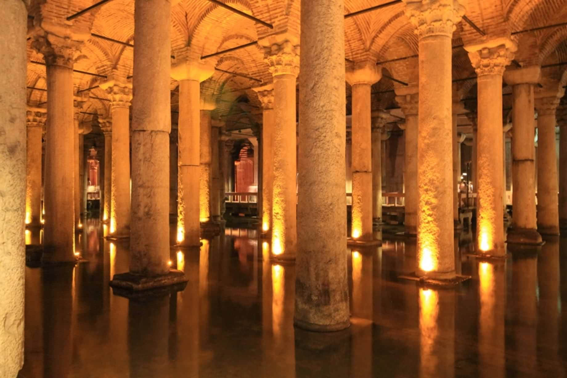 /image/blog/zcyyd.jpeg /image/blog/zcyyd.jpeg